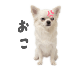 839887514
