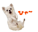 839887515