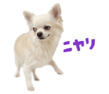 839887517