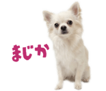 839887519