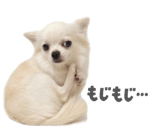 839887520