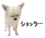 839887521