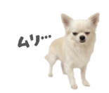 839887522