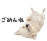 839887530