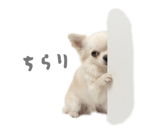 839887531