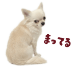 839887533