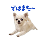 839887534