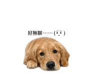 839887846