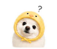 839887891