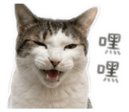 839888139