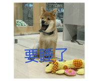 839888434