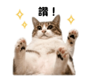 839889146