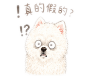 839889223