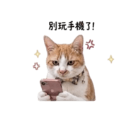 839890099