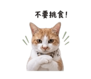 839890102