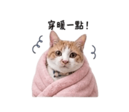 839890104