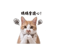 839890120