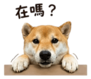 839890340