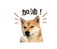 839890343
