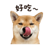 839890346