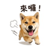 839890348