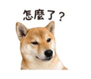 839890349