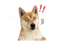 839890352