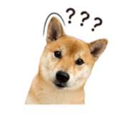 839890353