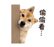 839890356
