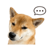 839890357