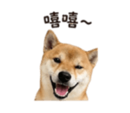 839890358