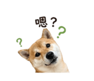 839890360