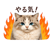 839890909