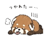 839890954