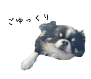 839891735