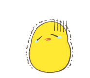 839891979