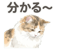 839892072