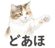 839892082