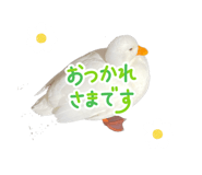 839893009