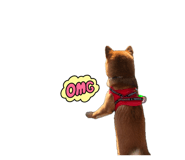 839893565