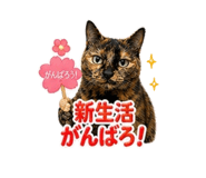 839894143