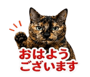 839894249