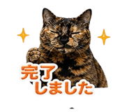 839894262