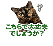 839894266