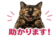 839894268