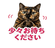 839894272