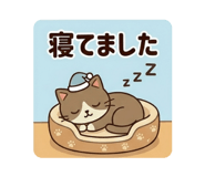 839894572