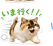 839895398