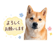 839896436