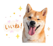 839896437